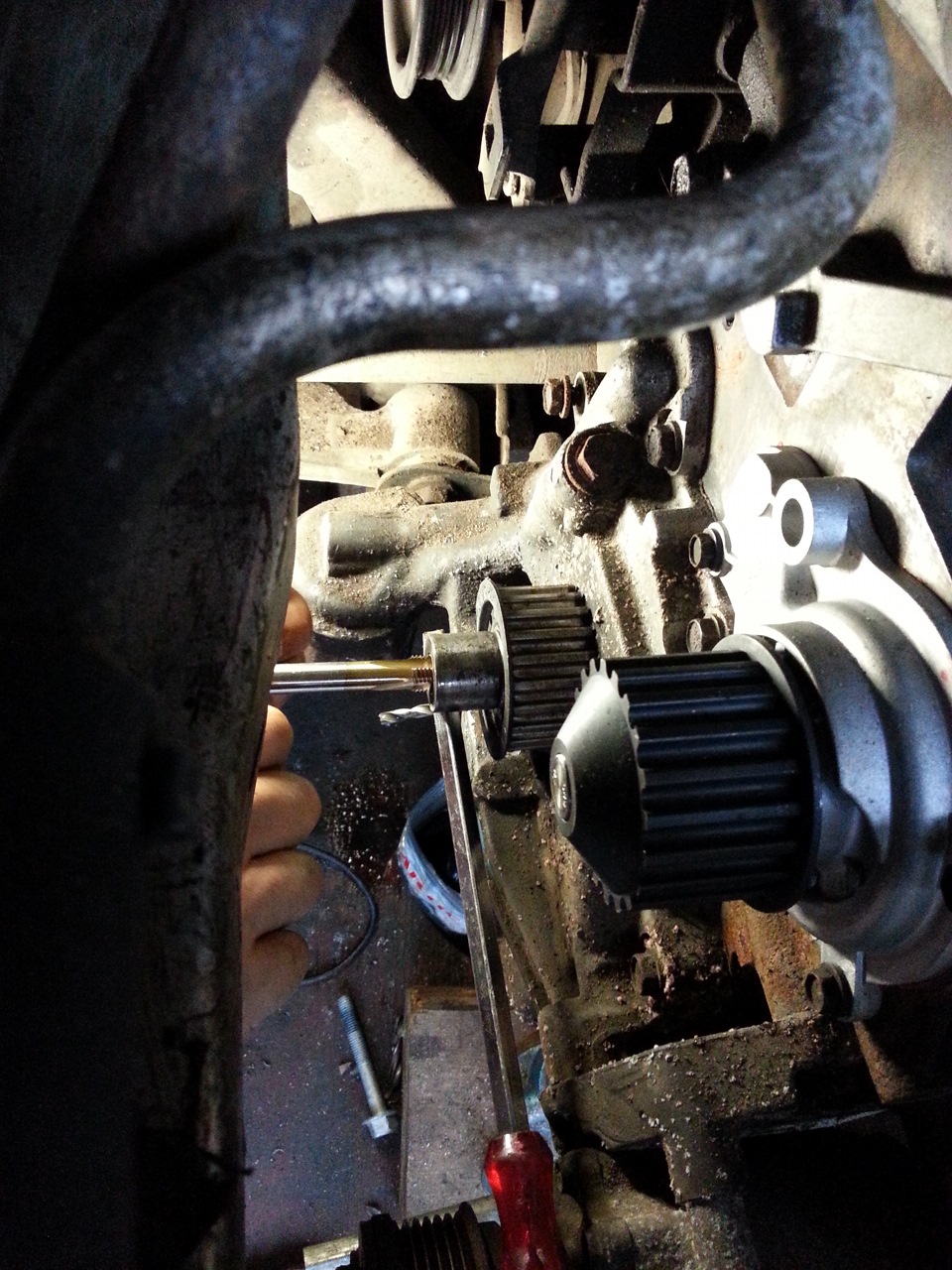 ΠΊΠ°ΠΊΠ°Ρ ΡΠ΅Π·ΡΠ±Π° Π±ΠΎΠ»ΡΠ° ΡΠΊΠΈΠ²Π° ΠΊΠΎΠ»Π΅Π½Π²Π°Π»Π°. Π‘ΠΌΠΎΡΡΠ΅ΡΡ ΡΠΎΡΠΎ ΠΊΠ°ΠΊΠ°Ρ ΡΠ΅Π·ΡΠ±Π° Π±ΠΎΠ»ΡΠ° ΡΠΊΠΈΠ²Π° ΠΊΠΎΠ»Π΅Π½Π²Π°Π»Π°. Π‘ΠΌΠΎΡΡΠ΅ΡΡ ΠΊΠ°ΡΡΠΈΠ½ΠΊΡ ΠΊΠ°ΠΊΠ°Ρ ΡΠ΅Π·ΡΠ±Π° Π±ΠΎΠ»ΡΠ° ΡΠΊΠΈΠ²Π° ΠΊΠΎΠ»Π΅Π½Π²Π°Π»Π°. ΠΠ°ΡΡΠΈΠ½ΠΊΠ° ΠΏΡΠΎ ΠΊΠ°ΠΊΠ°Ρ ΡΠ΅Π·ΡΠ±Π° Π±ΠΎΠ»ΡΠ° ΡΠΊΠΈΠ²Π° ΠΊΠΎΠ»Π΅Π½Π²Π°Π»Π°. Π€ΠΎΡΠΎ ΠΊΠ°ΠΊΠ°Ρ ΡΠ΅Π·ΡΠ±Π° Π±ΠΎΠ»ΡΠ° ΡΠΊΠΈΠ²Π° ΠΊΠΎΠ»Π΅Π½Π²Π°Π»Π° ΠΊΠ°ΠΊΠ°Ρ ΡΠ΅Π·ΡΠ±Π° Π±ΠΎΠ»ΡΠ° ΡΠΊΠΈΠ²Π° ΠΊΠΎΠ»Π΅Π½Π²Π°Π»Π°. Π‘ΠΌΠΎΡΡΠ΅ΡΡ ΡΠΎΡΠΎ ΠΊΠ°ΠΊΠ°Ρ ΡΠ΅Π·ΡΠ±Π° Π±ΠΎΠ»ΡΠ° ΡΠΊΠΈΠ²Π° ΠΊΠΎΠ»Π΅Π½Π²Π°Π»Π°. Π‘ΠΌΠΎΡΡΠ΅ΡΡ ΠΊΠ°ΡΡΠΈΠ½ΠΊΡ ΠΊΠ°ΠΊΠ°Ρ ΡΠ΅Π·ΡΠ±Π° Π±ΠΎΠ»ΡΠ° ΡΠΊΠΈΠ²Π° ΠΊΠΎΠ»Π΅Π½Π²Π°Π»Π°. ΠΠ°ΡΡΠΈΠ½ΠΊΠ° ΠΏΡΠΎ ΠΊΠ°ΠΊΠ°Ρ ΡΠ΅Π·ΡΠ±Π° Π±ΠΎΠ»ΡΠ° ΡΠΊΠΈΠ²Π° ΠΊΠΎΠ»Π΅Π½Π²Π°Π»Π°. Π€ΠΎΡΠΎ ΠΊΠ°ΠΊΠ°Ρ ΡΠ΅Π·ΡΠ±Π° Π±ΠΎΠ»ΡΠ° ΡΠΊΠΈΠ²Π° ΠΊΠΎΠ»Π΅Π½Π²Π°Π»Π°