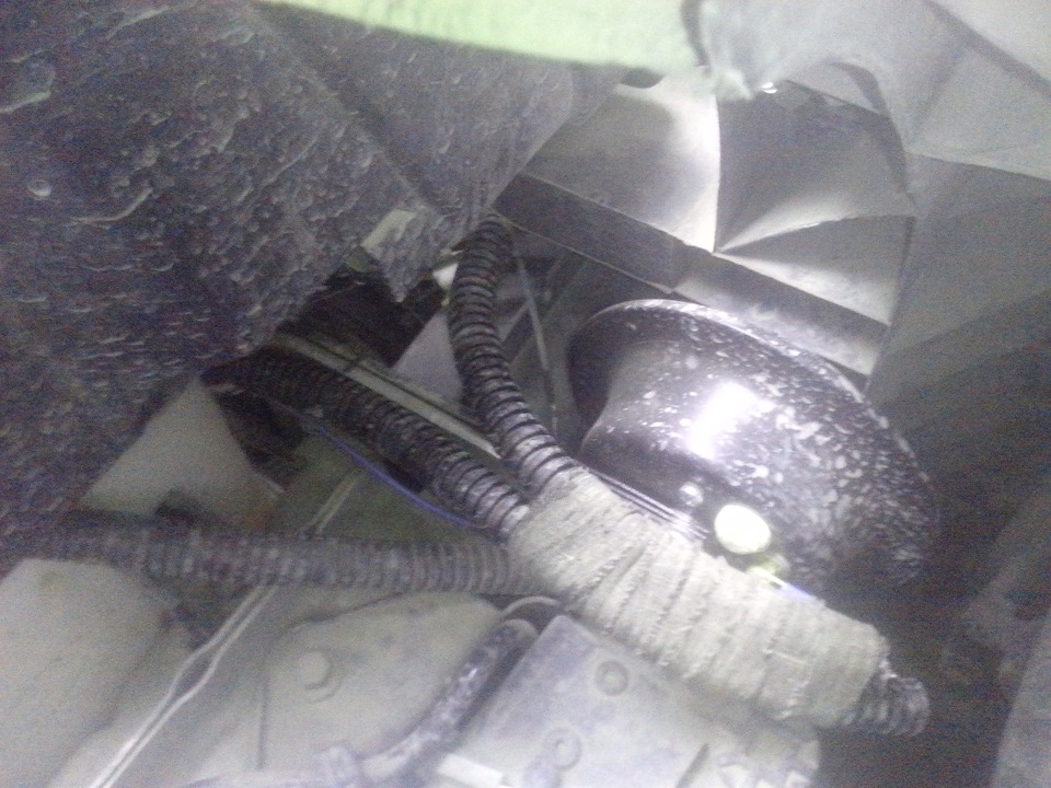 Лампочки в указатели поворота, стоп-габарит, звуковой сигнал — Ford ...