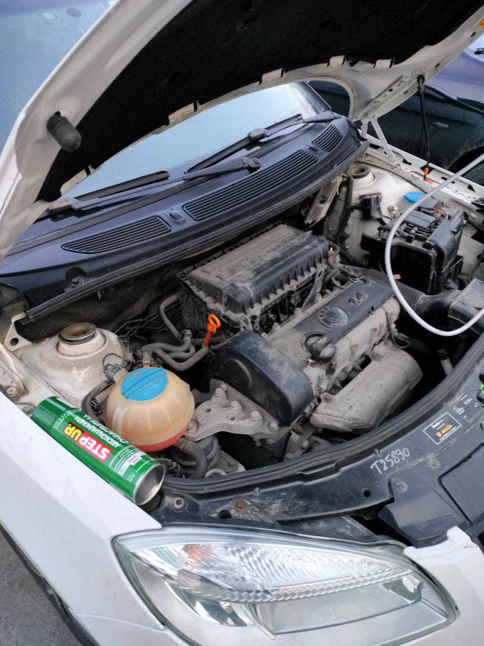 Промывка испарителя кондиционера — Skoda Fabia Combi Mk2, 1,4 л, 2009 ...