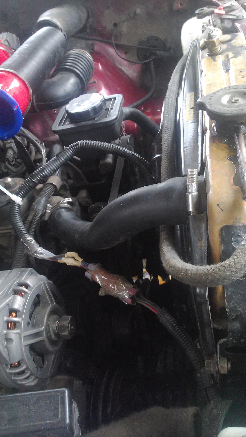 Фото в бортжурнале Great Wall Deer