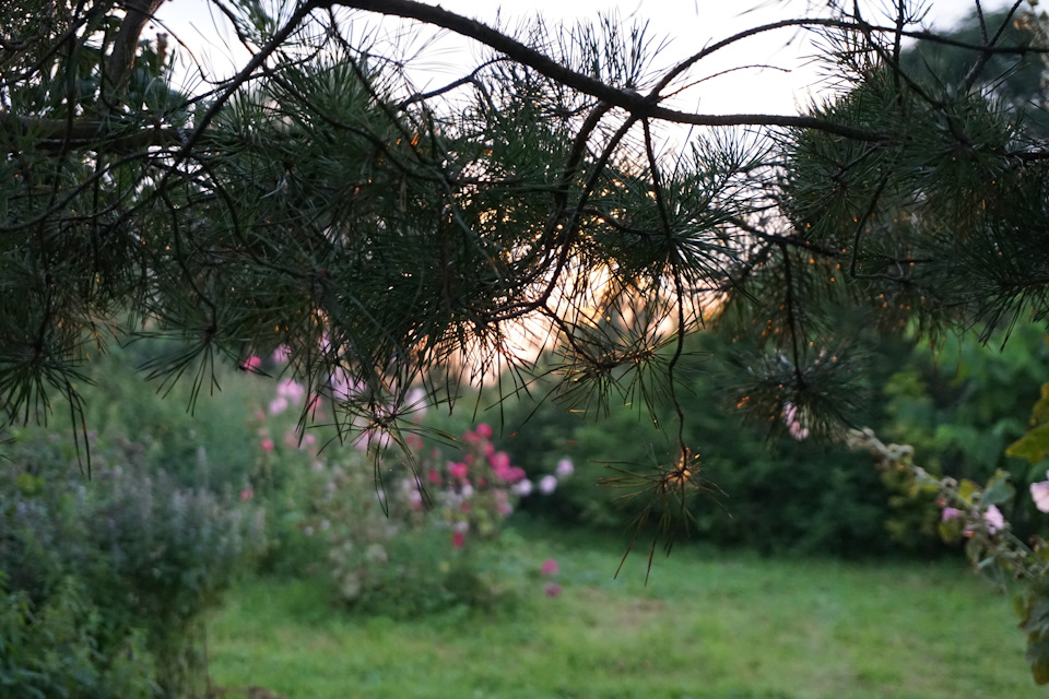 Фото в бортжурнале Nissan Murano II