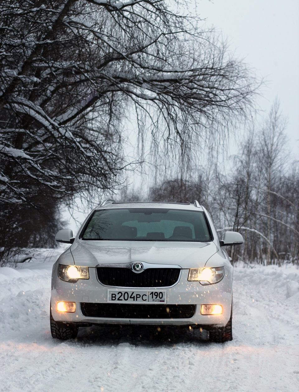 Skoda Superb Winter Forest