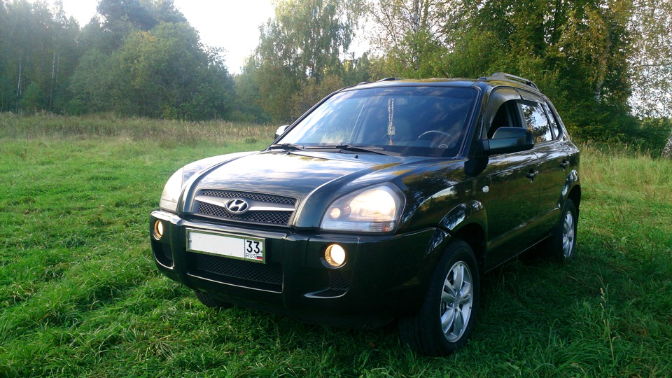 Hyundai tucson лягушка