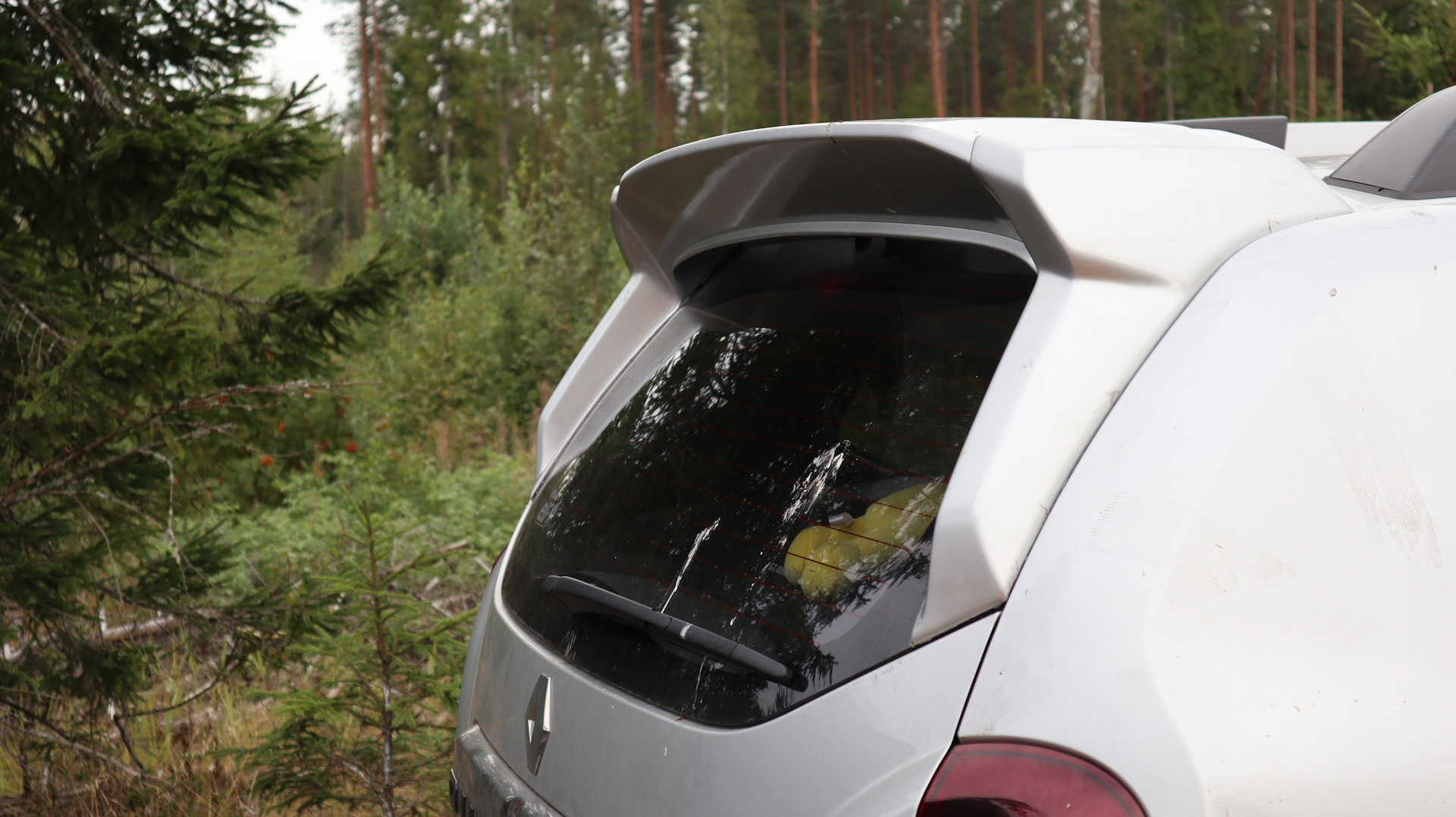 Спойлер На Дастер Чистое Стекло Купить