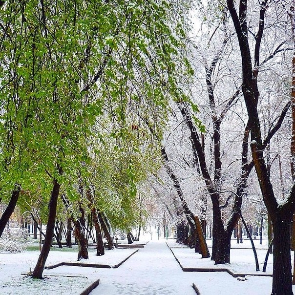 Какой будет май в екатеринбурге