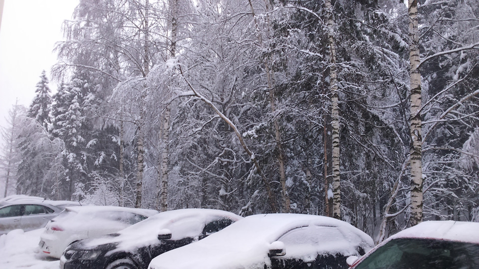 Фото в бортжурнале LADA Vesta