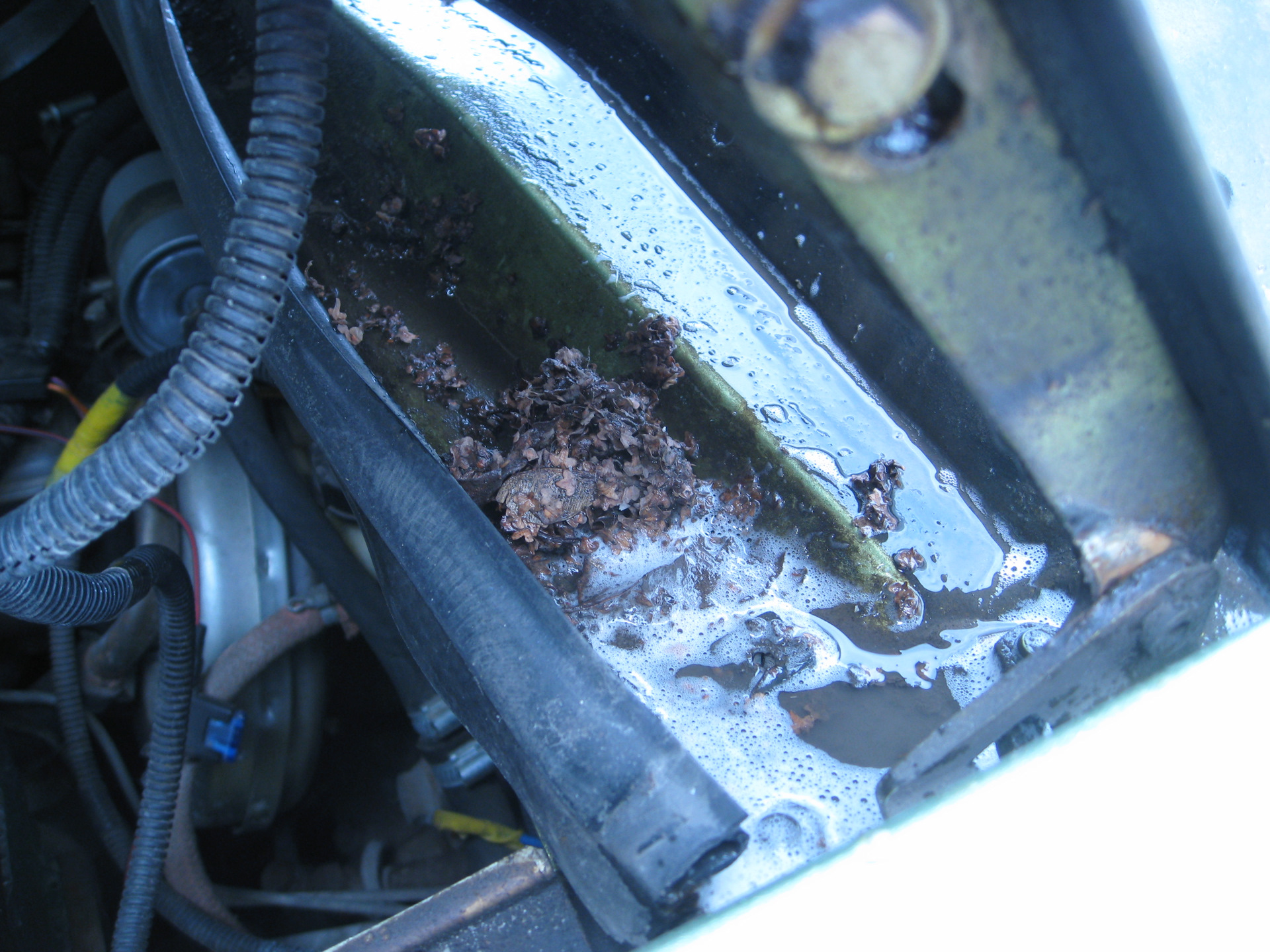 УСТАНОВКА БАЧКА ОМЫВАЙКИ (НА 5 ЛИТРОВ) ОТ НИВЫ 214 НА ВАЗ 2120 НАДЕЖДА ...