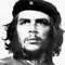 Что лучше мзса или трейлер