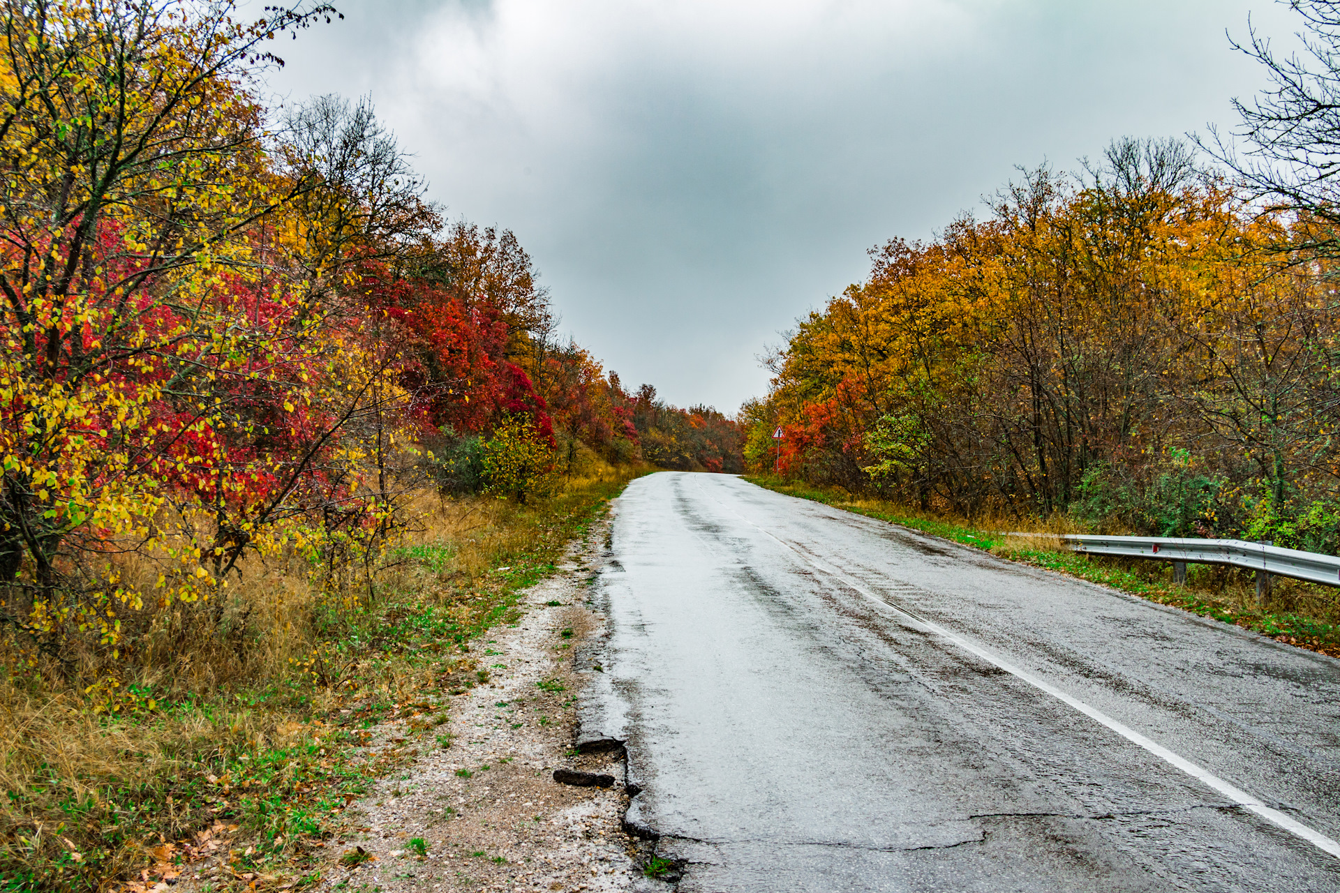 марьевский лес крым осень. по осеннему крымскому небу рассыпались. осень в крымском лесу. горы море крым осень. осень в крымском лесу.
