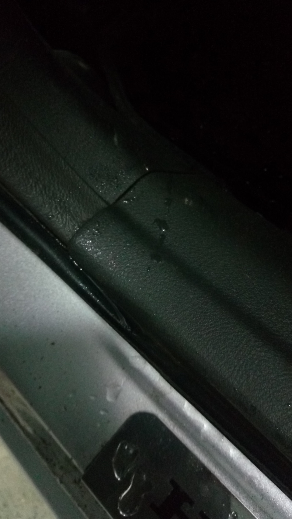 Воооот, как ты туда попала то? Иллюминаторы ведь закрыты. — Honda Civic 4D (8G)