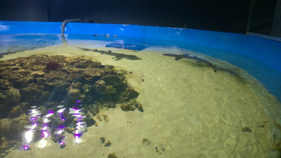 И снова Пенза))) — Daewoo Matiz (M100, M150), 0,8 л, 2012 года ...