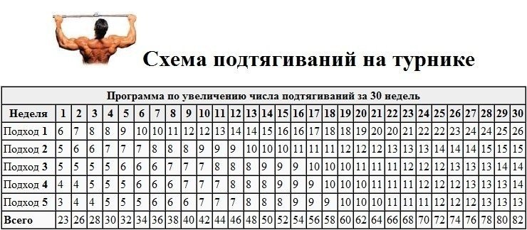 Программа тренировок (турник брусья отжимания пресс ноги бег)