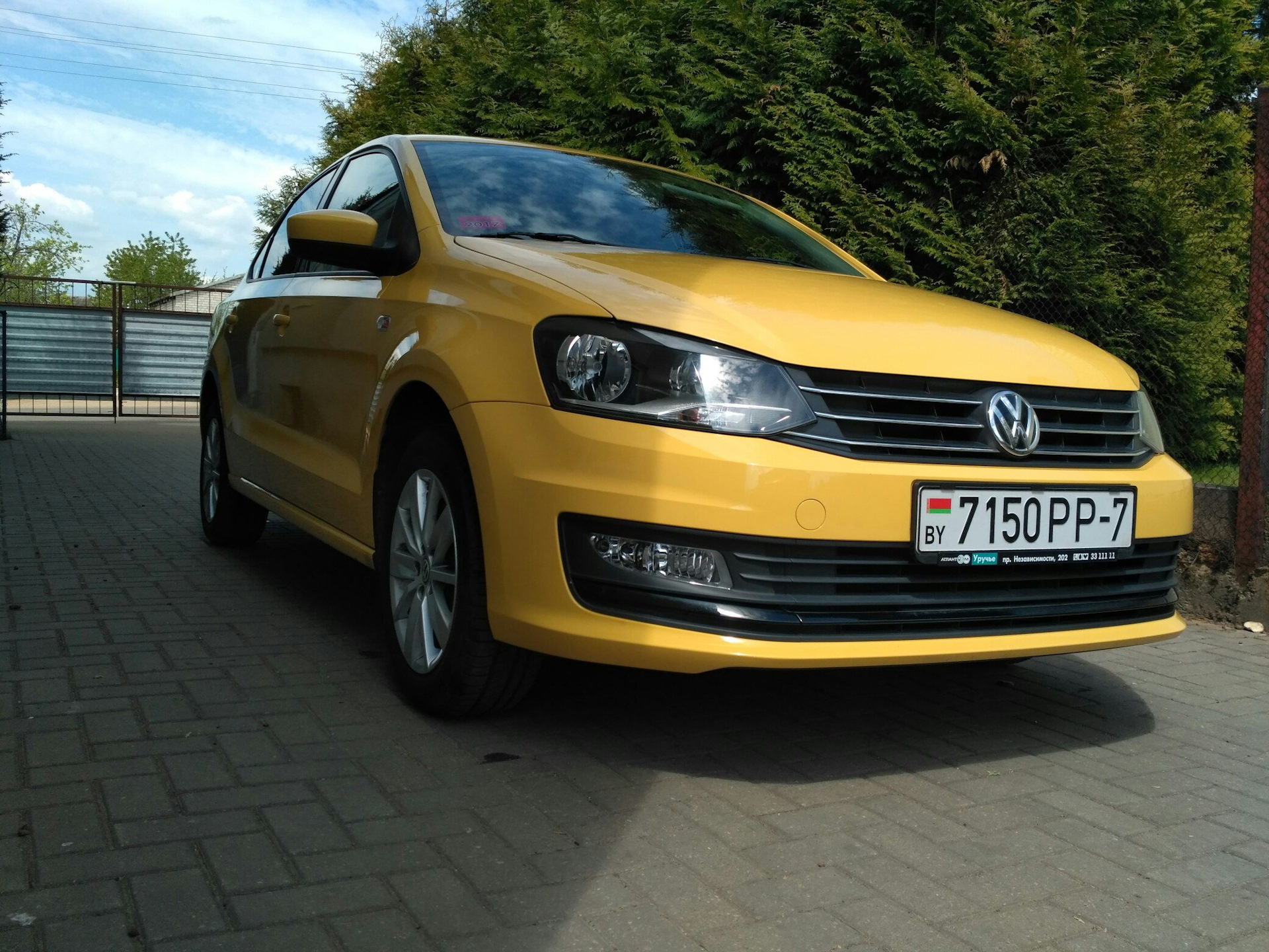 Volkswagen Polo С…СЌС‚С‡Р±РµРє Р¶РµР»С‚С‹Р№