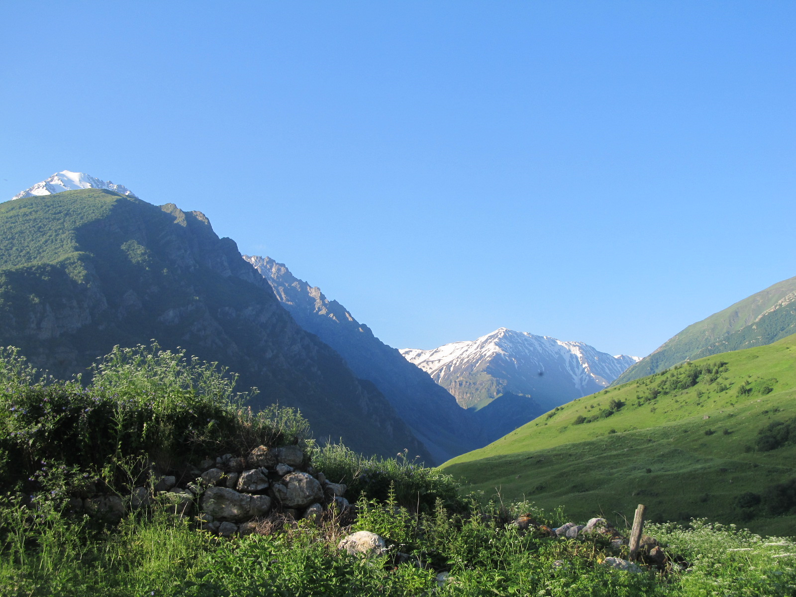 Северная Осетия Кубань