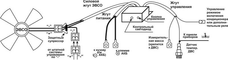 Силыч борей