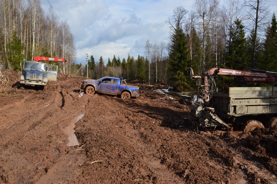 Фото в бортжурнале Ford F-Series (12G)