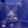 Трещина на коробке передач чем можно заклеить. Смотреть фото Трещина на коробке передач чем можно заклеить. Смотреть картинку Трещина на коробке передач чем можно заклеить. Картинка про Трещина на коробке передач чем можно заклеить. Фото Трещина на коробке передач чем можно заклеить