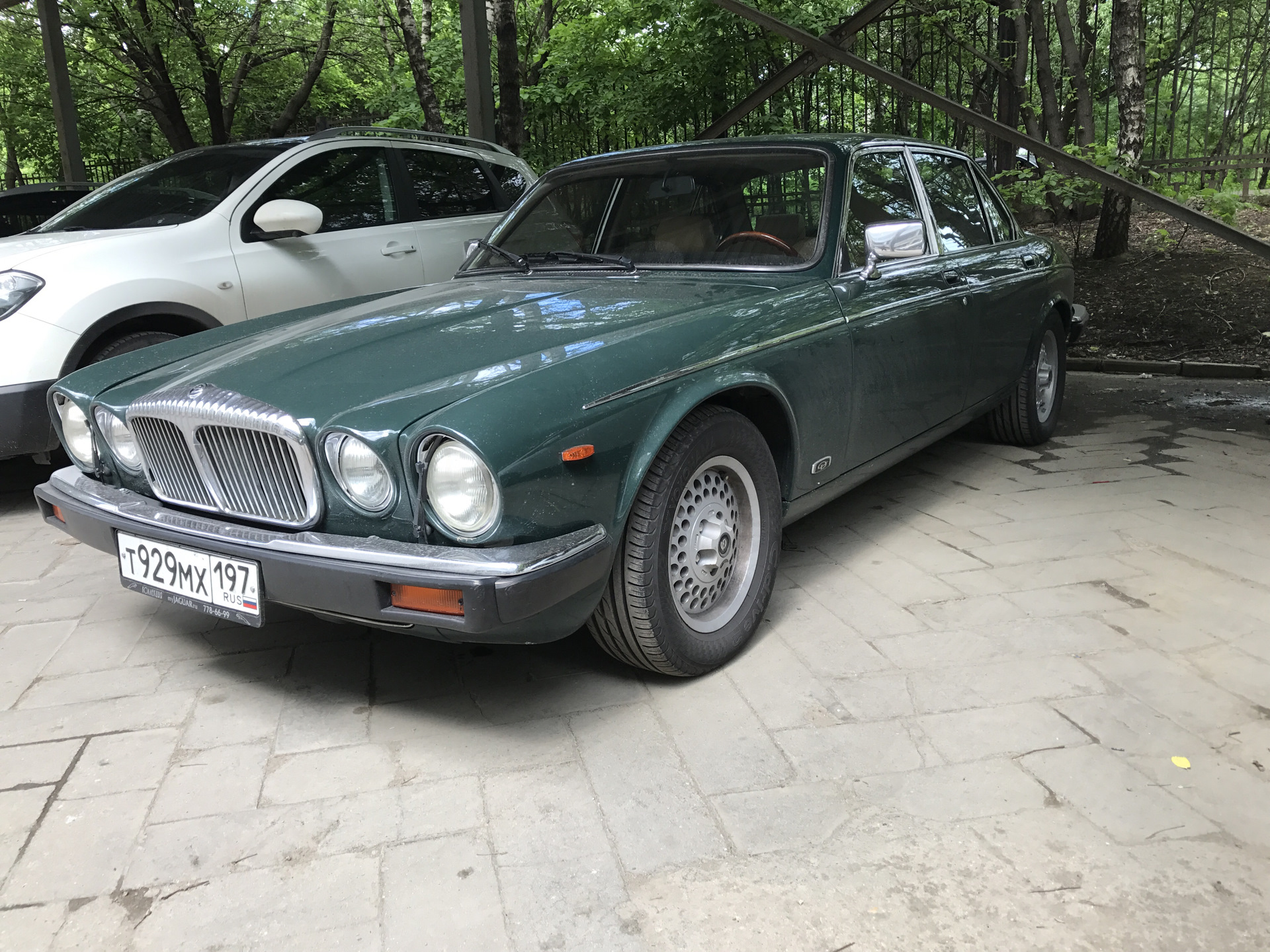 Daimler Double Six Coupe