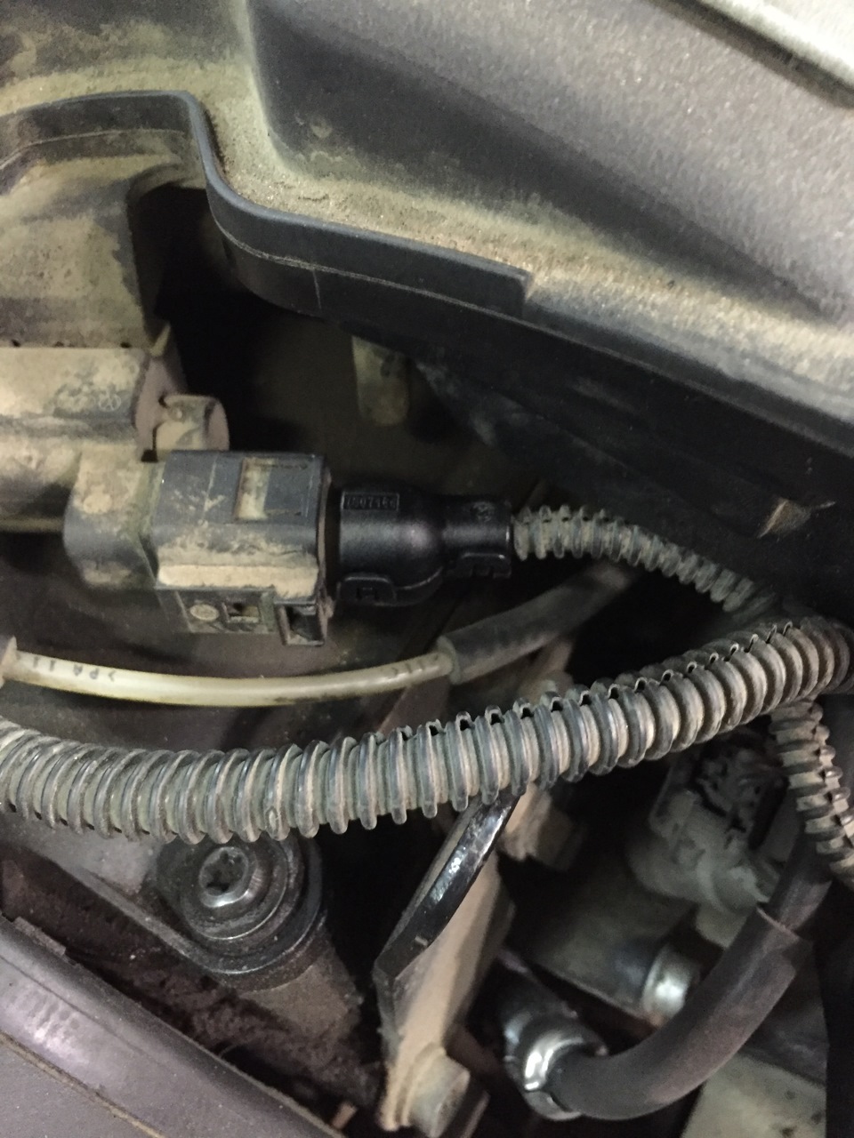 Фото в бортжурнале Skoda Octavia A5 Mk2