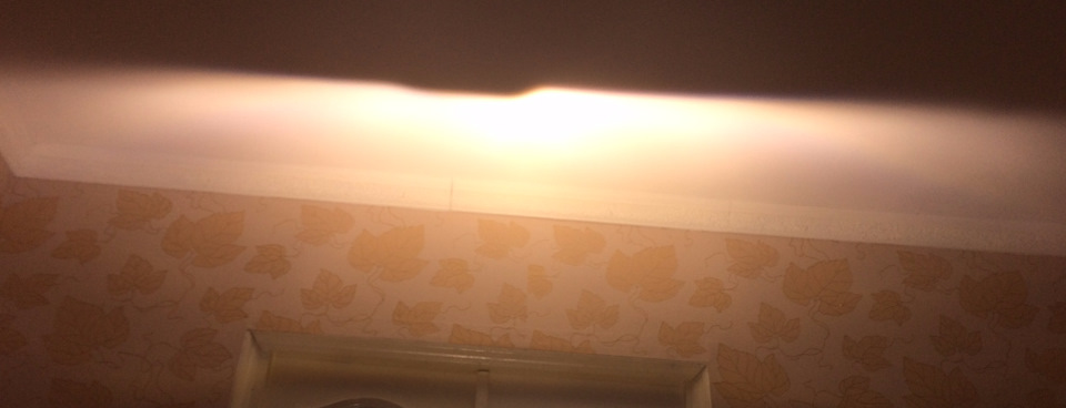 Hella Intemo + старая лампа — Volkswagen Passat Variant (B6)