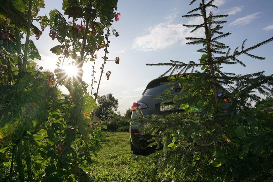 Фото в бортжурнале Nissan Murano II
