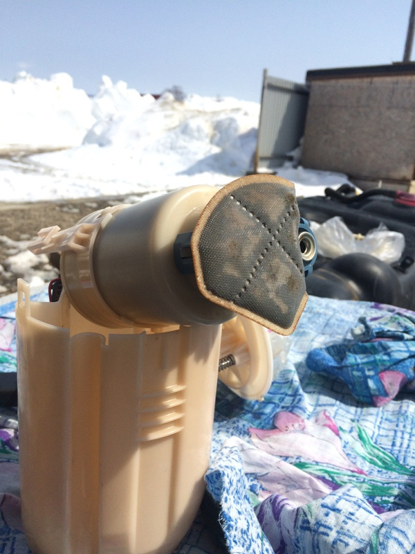 Фото в бортжурнале Toyota Tundra (II)