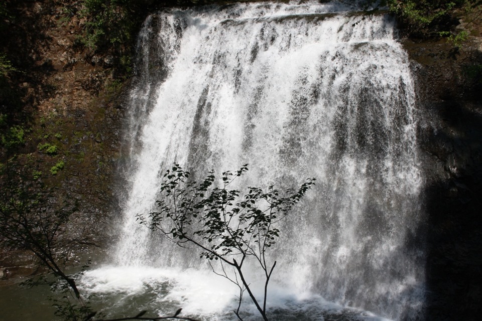 Фото в бортжурнале Nissan Safari (Y60)