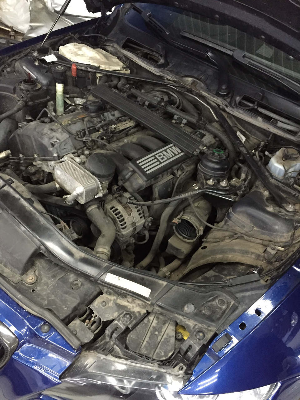 Замена прокладки теплообменника и корпуса масляного фильтра! — BMW 3 ...