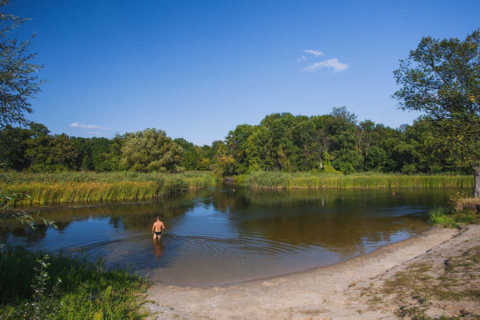 какие рыбы водятся в битюге. Смотреть фото какие рыбы водятся в битюге. Смотреть картинку какие рыбы водятся в битюге. Картинка про какие рыбы водятся в битюге. Фото какие рыбы водятся в битюге