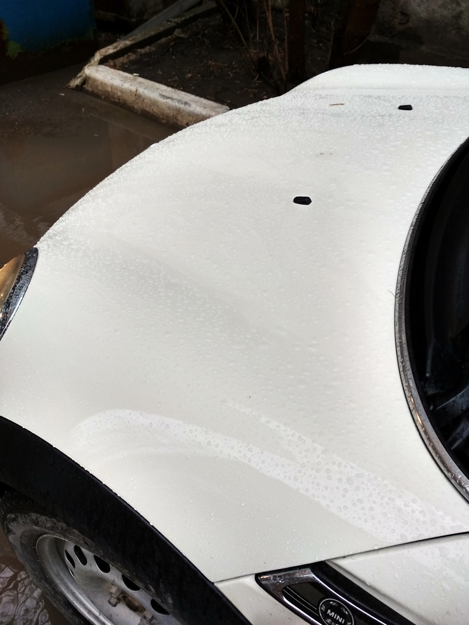 Решил я значит покрасить капот — MINI Clubman (1G), 1,4 л, 2009 года ...