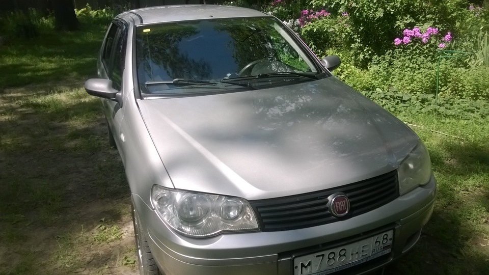 Фиат альбеа на газ. Фиат альбеа 2002. Fiat albea 1. Фиат альбеа серебристый. Установка баллона гбо фиат альбеа.