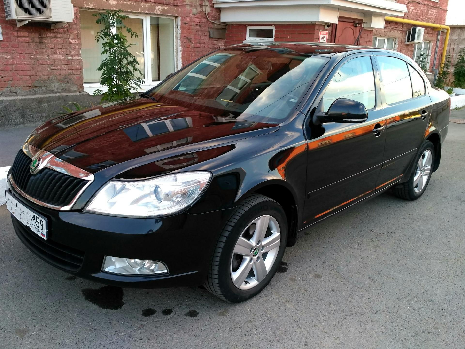 Авторазборка шкода а5. Авторазборка шкода а5. Запчасти шкода октавия а7. Октавия а5 2009. Авторазбор октавия а5.