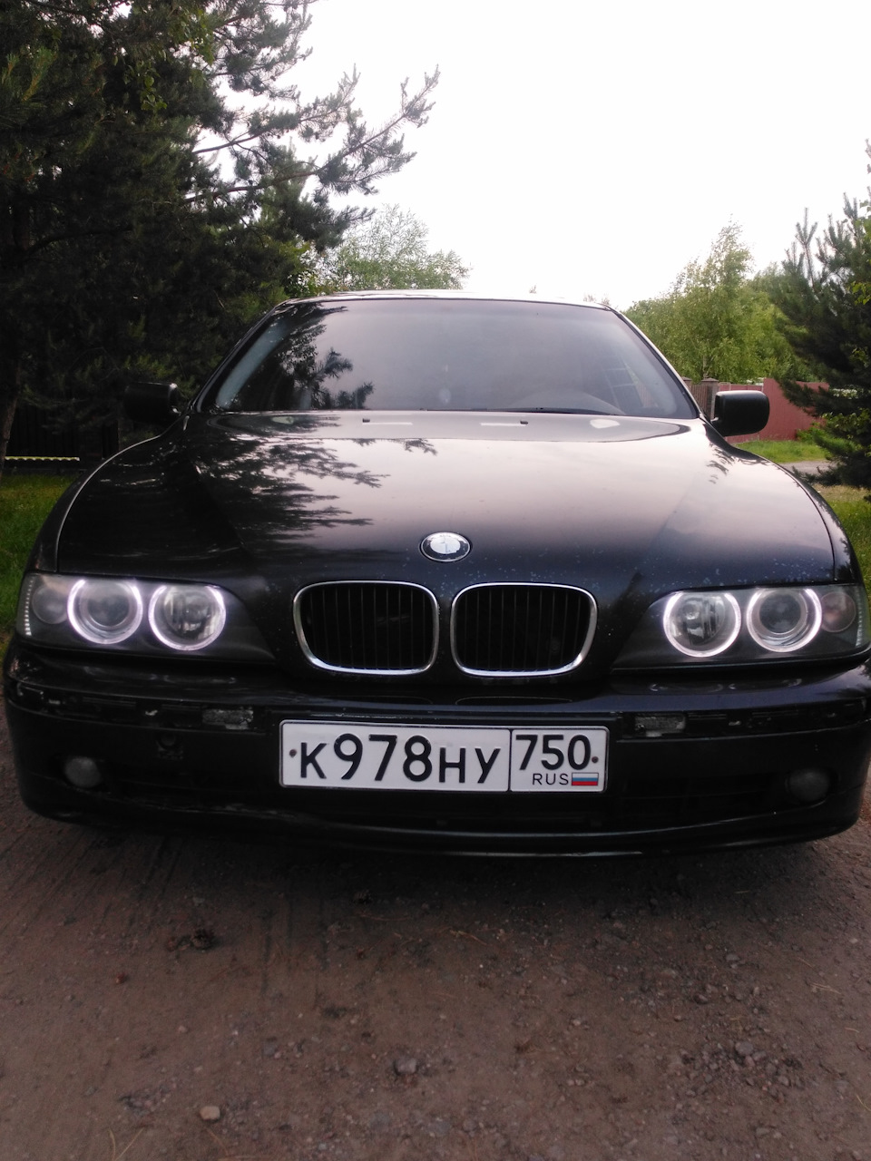 Фото в бортжурнале BMW 5 series (E39)