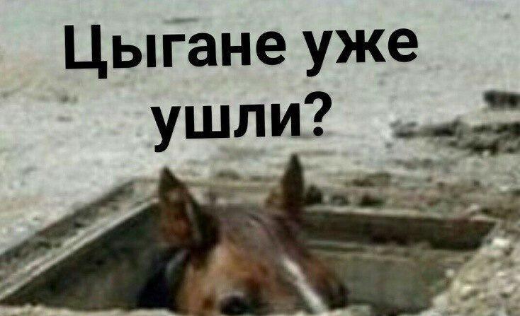 Цыганские мемы