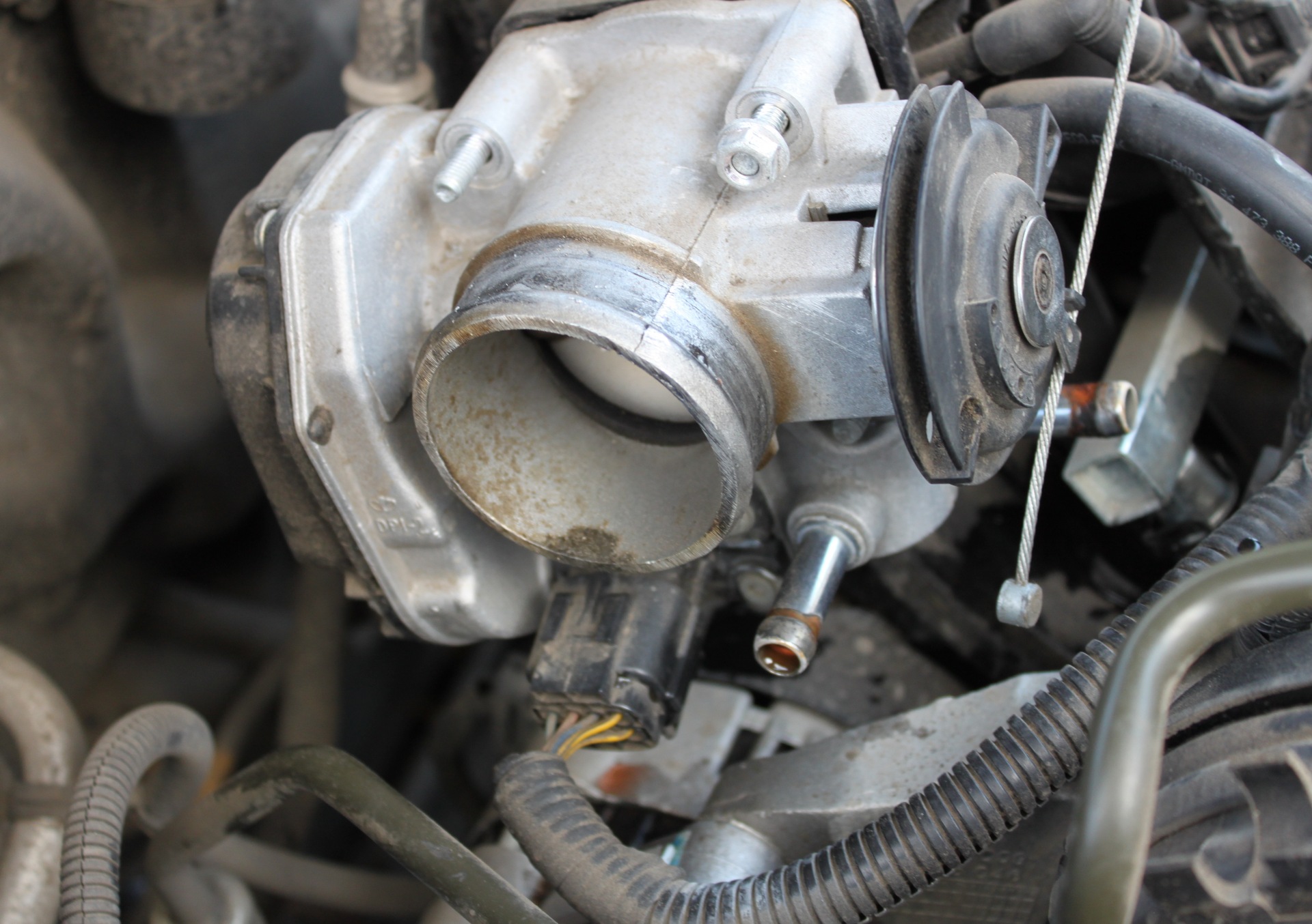 Дроссельная Заслонка Шевроле Нива Фото – Telegraph