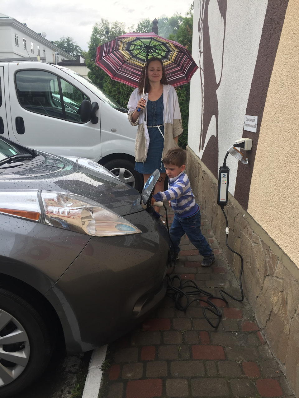 Фото в бортжурнале Nissan Leaf (1G)