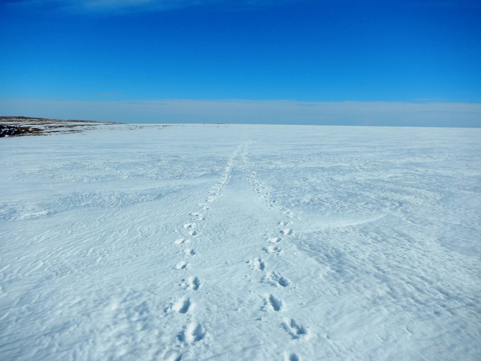 Polar Urals Array The Ray-Iz Part 1 The way to the top