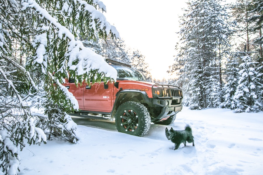 Фото в бортжурнале Hummer H2