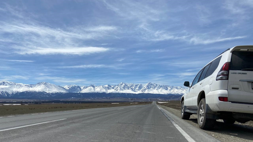 Toyota Land Cruiser Prado Arctic Bear