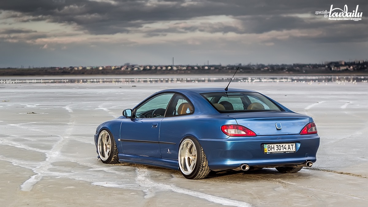 peugeot 406 stance