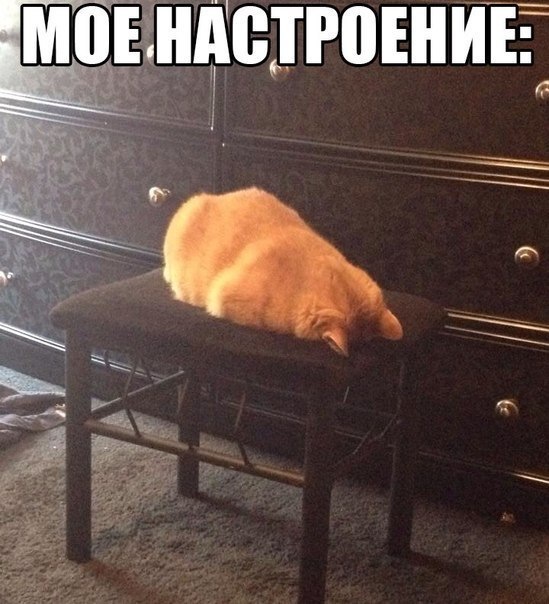 Мемы про усталость смешные Мемы про усталость смешные