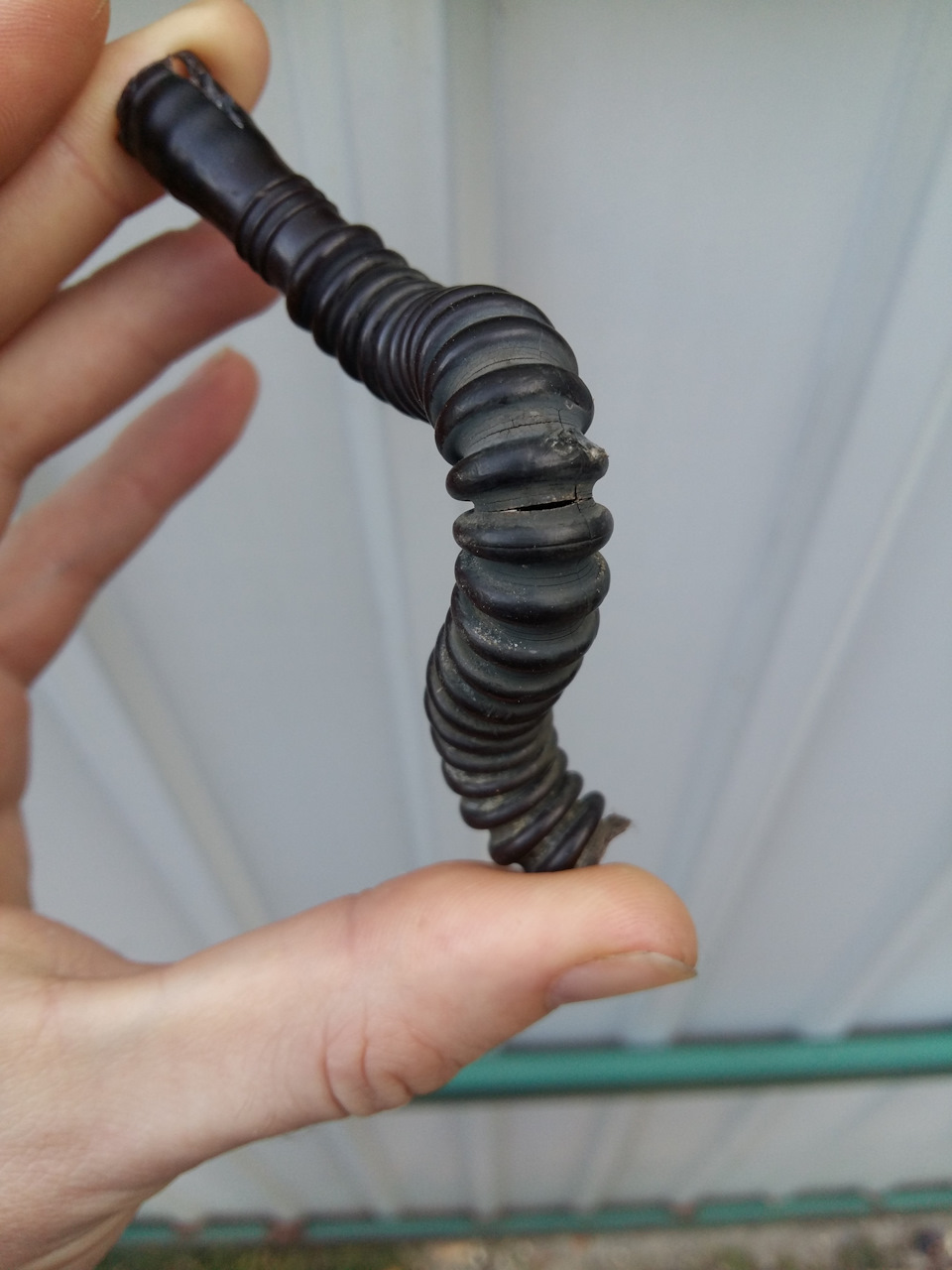 фото старой дубовой трубочки — Chevrolet Lacetti Sedan