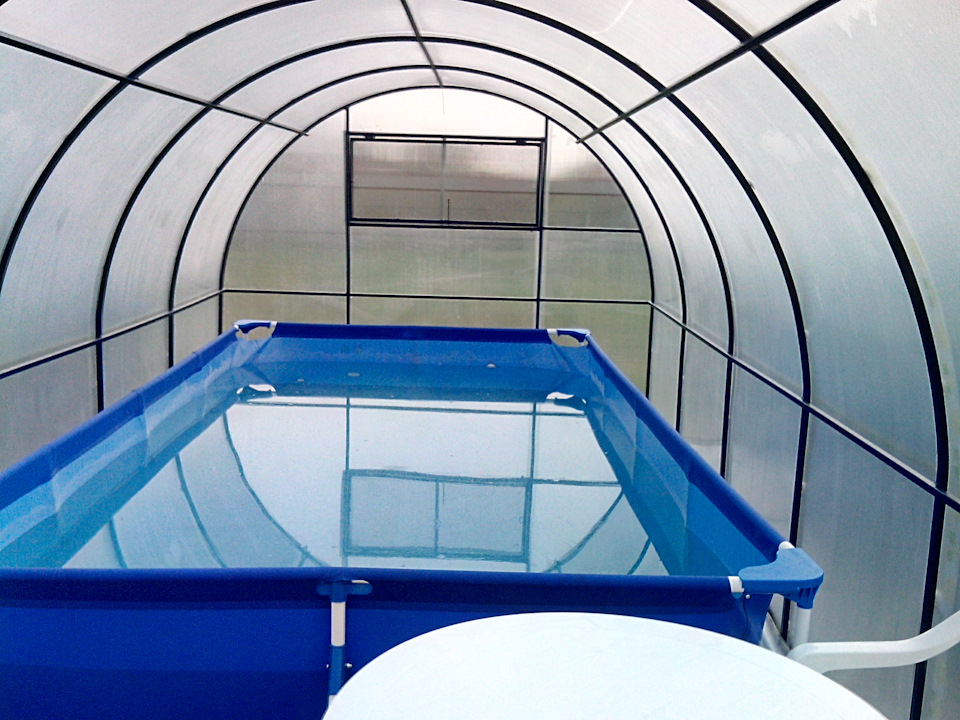 бассейн в теплице из поликарбоната фото