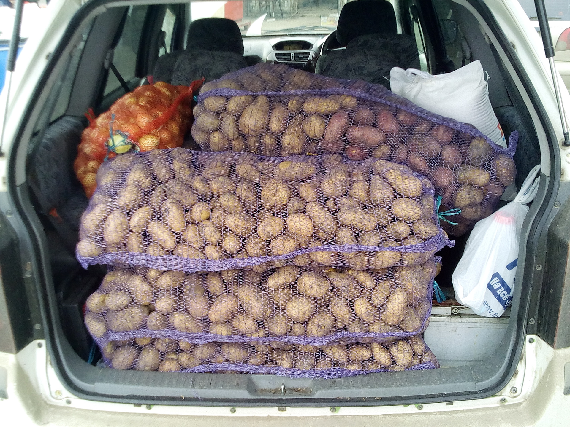 Мешок картошки сколько кг. Картофель в мешках. Картошка в багажнике. Мешок картошки в багажнике. Полный багажник картошки.