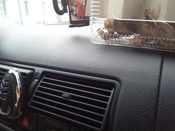 Сверчки в салоне — Volkswagen Golf Mk4, 1,6 л, 2000 года | фотография ...