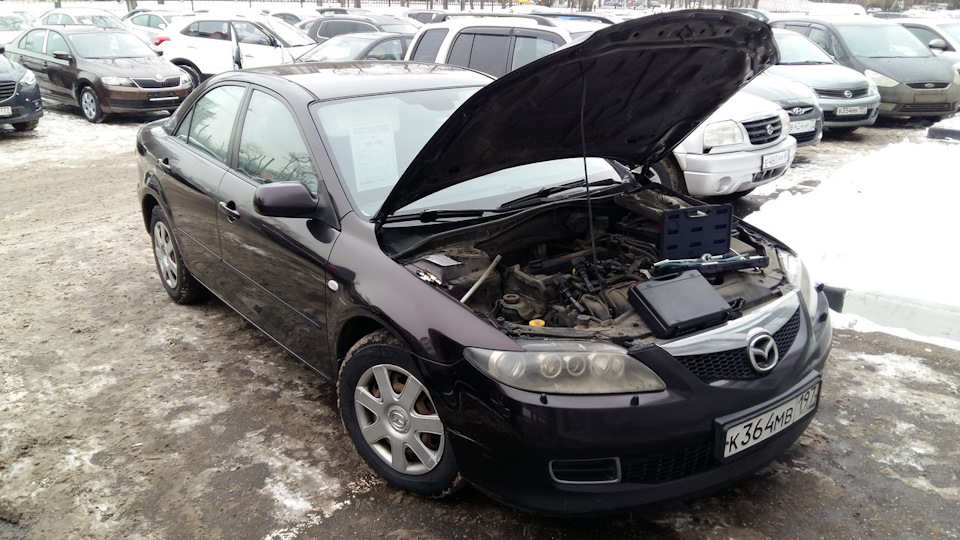 Масло просто с них капало… — Сообщество «Всё о Покупке и Продаже ...