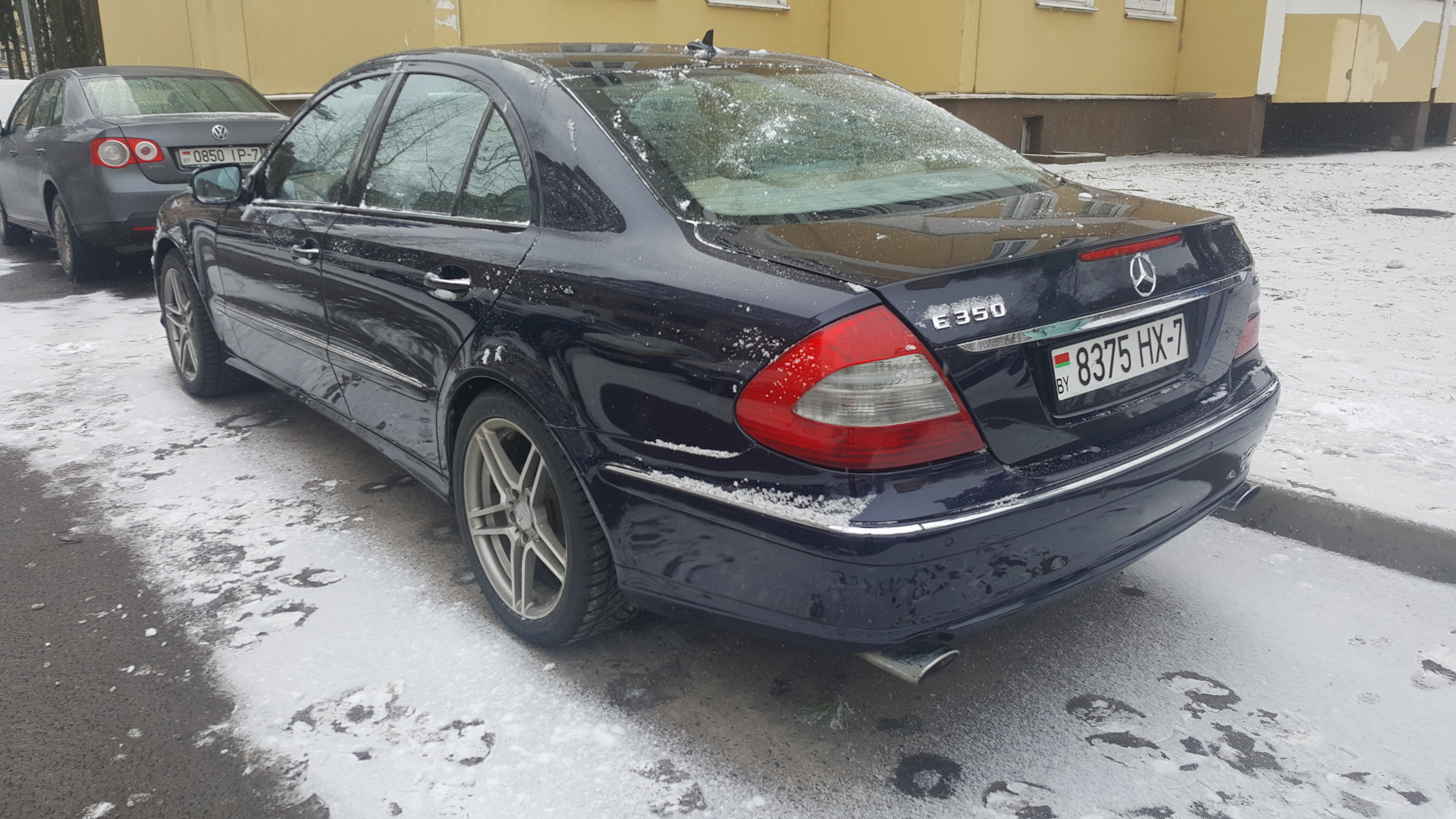 avangard mercedes