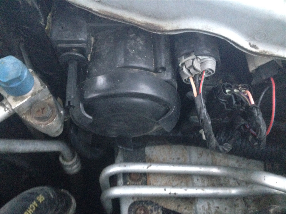 Заглушка фары — Nissan Primera (P11-144), 1,8 л, 2001 года | запчасти ...