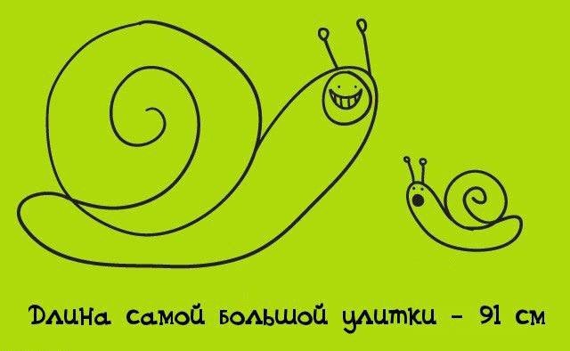 Проект знаете ли вы