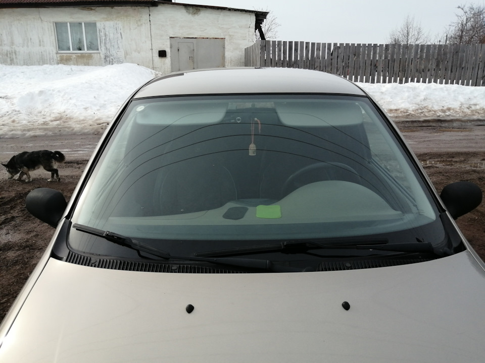 Собираюсь убрать жучки на машине вылезли несколько по аркам из за ...